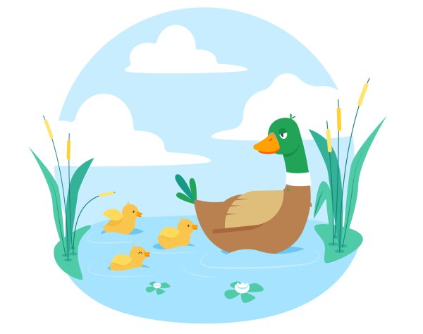 Утка с утятами вектор