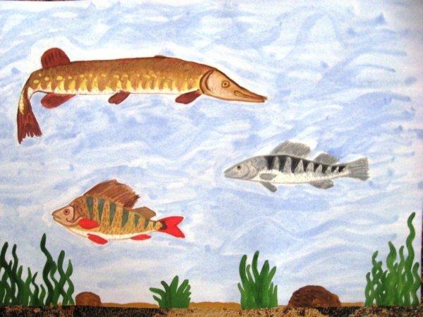 Обитатели рек и озер для детей