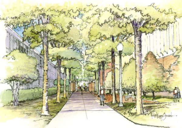 Перспектива парка