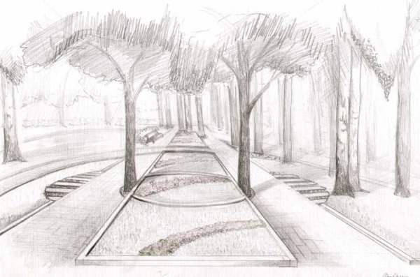 Рисунок парка