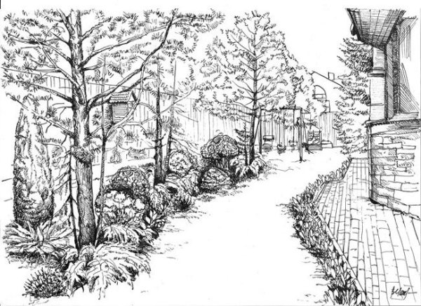 Парк в графике