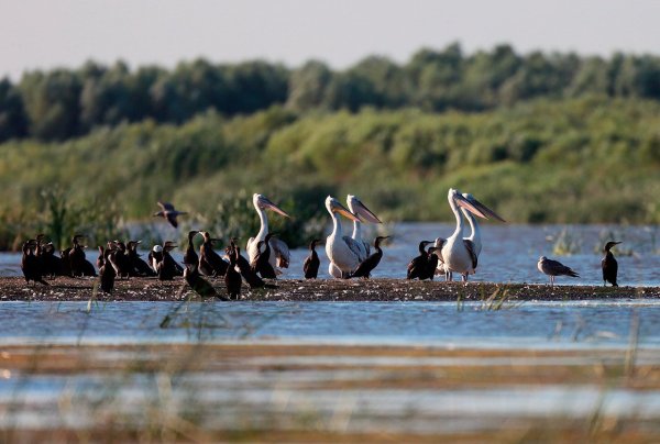 Волго-Ахтубинская Пойма