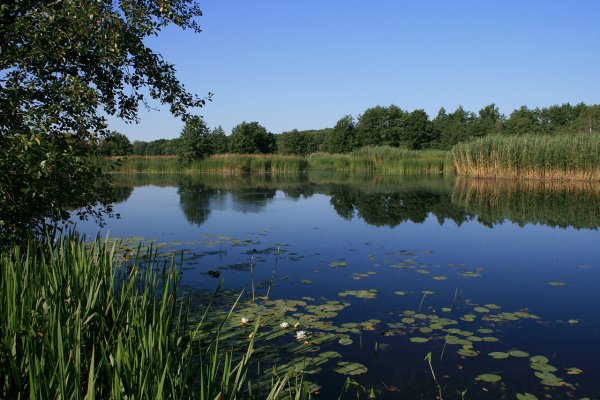 Река Битюг Воронежской области