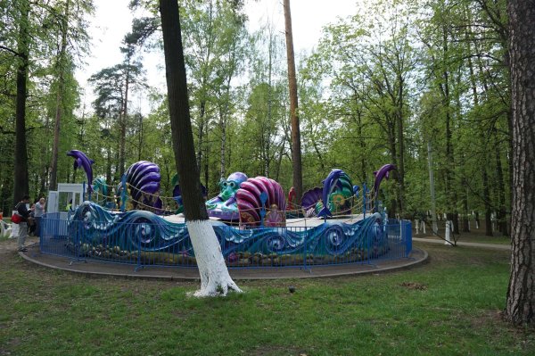 Городской парк Раменское