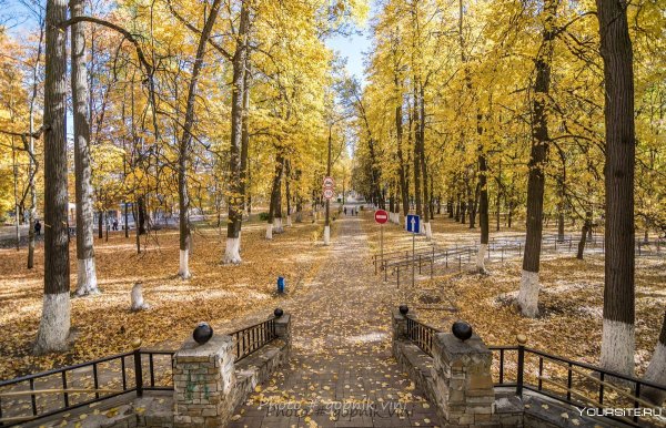 Город Раменское парк