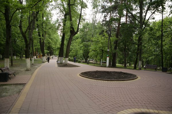 Раменское парк