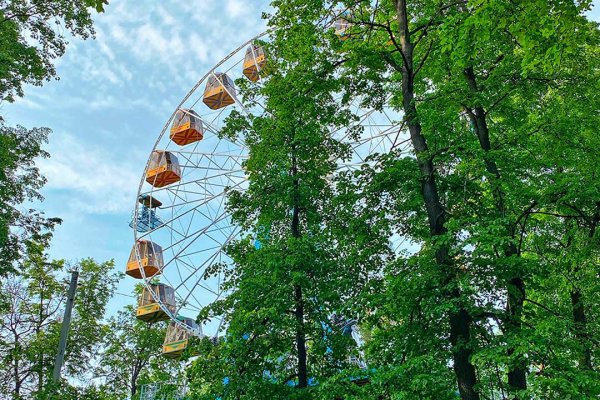 Зе парк Раменское