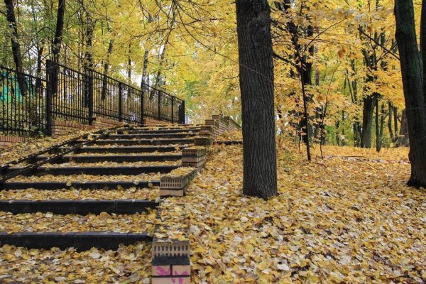 Осенний парк в Раменском