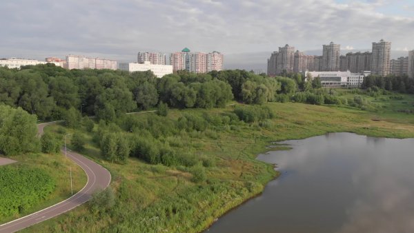 Лесопарк Восьмидорожье Раменское