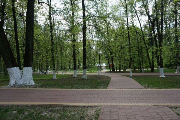 Раменское парк культуры