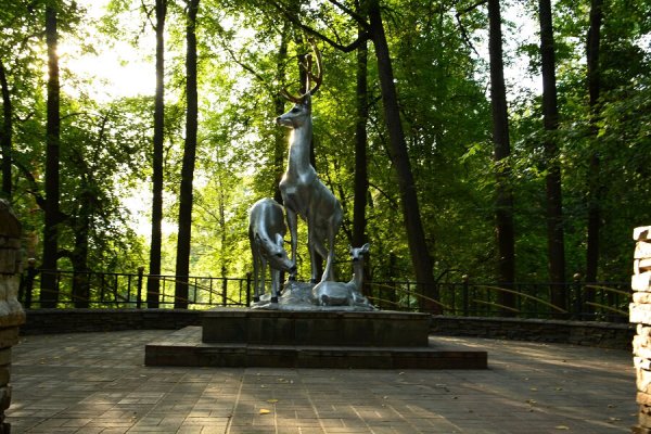 Город Раменское парк