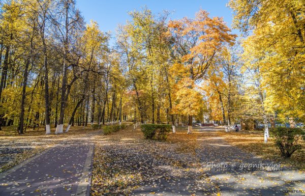 Рамонский парк