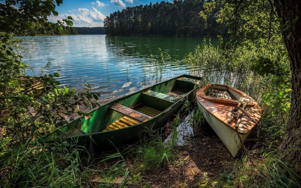 Лодка в лесу