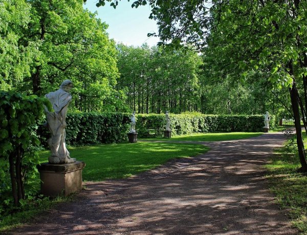 Лесопарк Кусково Москва