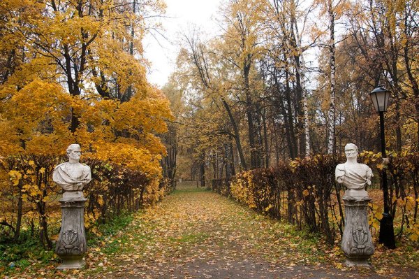 Парк Кусково осенью