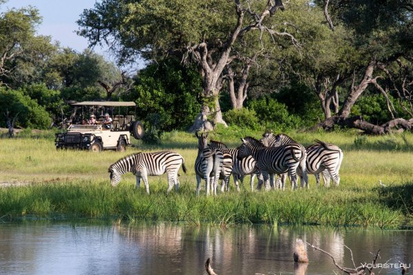 Кения зоопарк