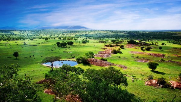 Климат Танзании