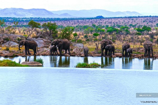 Национальный парк Серенгети окрестность