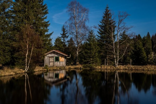 Хижина в лесу у озера