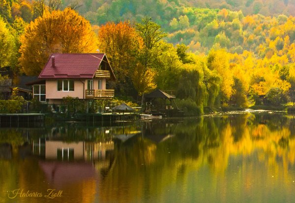 Дом в лесу