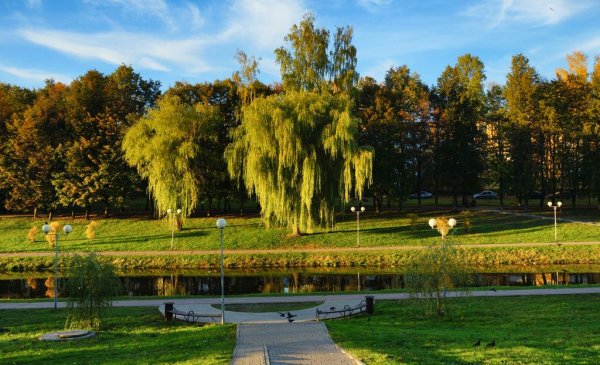 Смоленск парк 1100-летия Смоленска