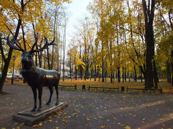 Сад Блонье Смоленск