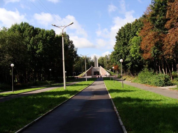 Парк реадовка Смоленск