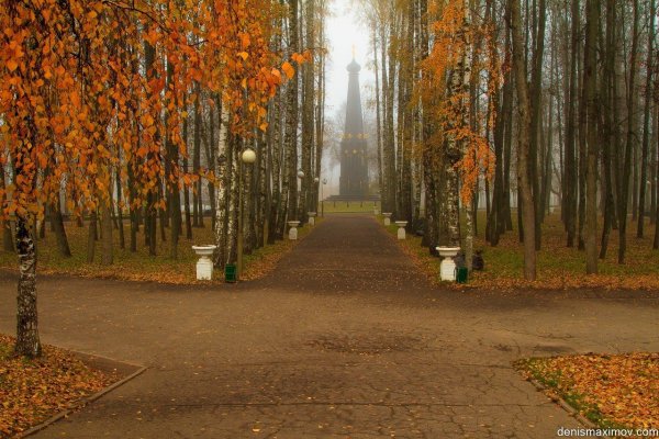 Блонье осенью Смоленск