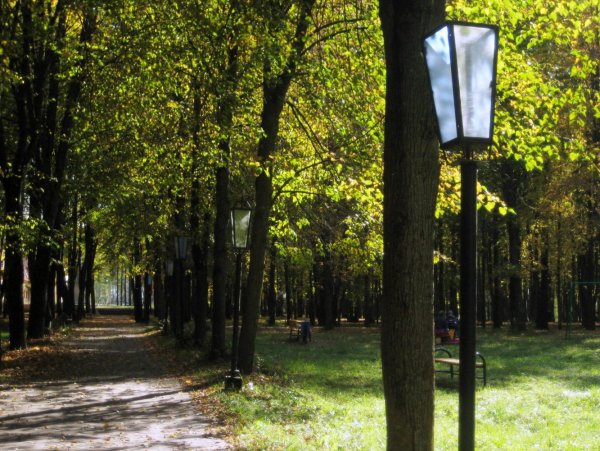 Городской парк Ярцево