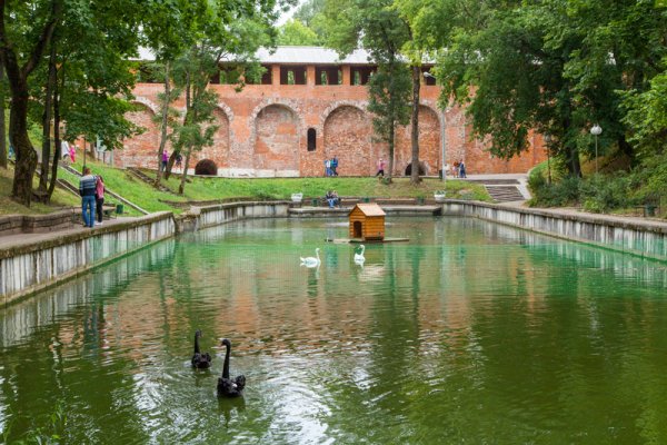 Лопатинский сад Смоленск