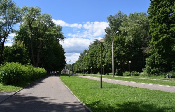 Парк реадовка Смоленск