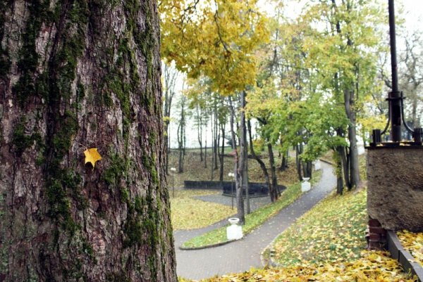 Смоленск парк культуры