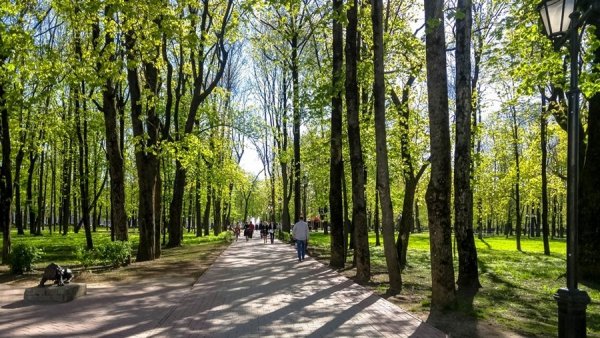 Смоленск парк Блонье