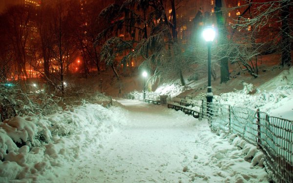 Зимний город