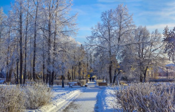 Тюмень парк зимой