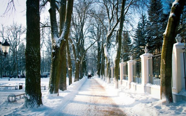 Городской парк культуры Калуга зимой