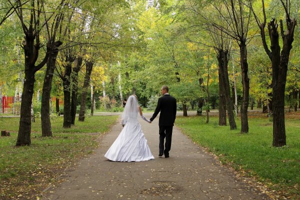 Свадьба прогулка в парке