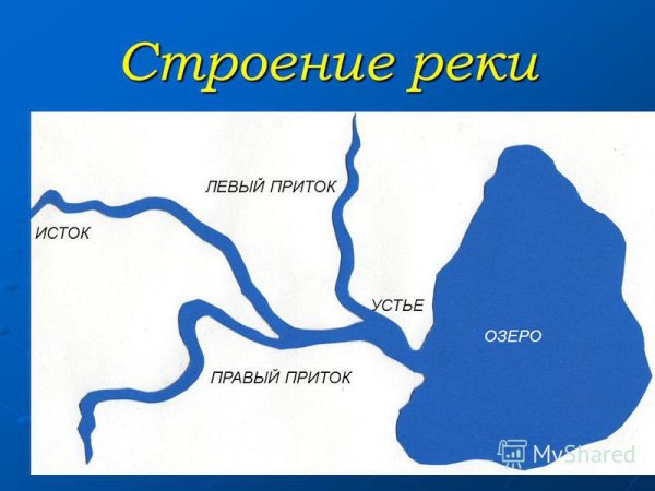 Река Лена Исток Устье притоки