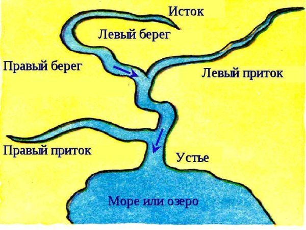 Исток реки Устье реки правый приток левый приток
