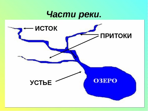 Устье реки Исток приток окружающий мир 3 класс