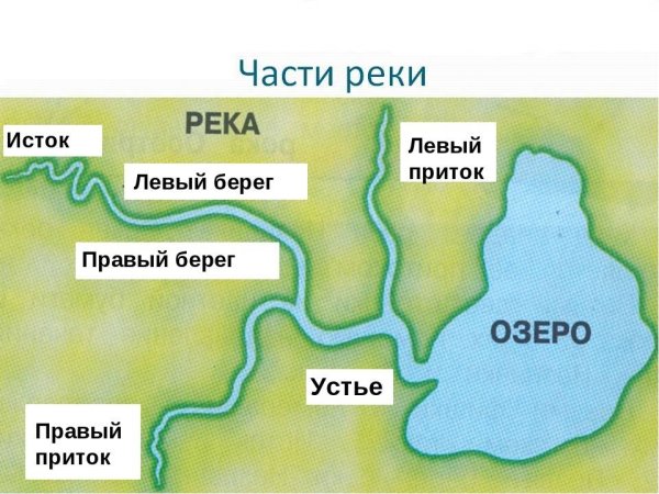 Устье реки Исток приток окружающий мир