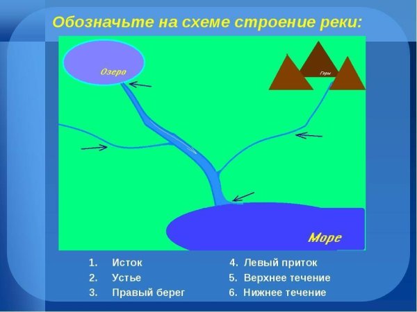 Устье реки Исток приток окружающий мир