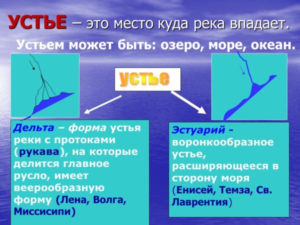 Устье Дельта и эстуарий