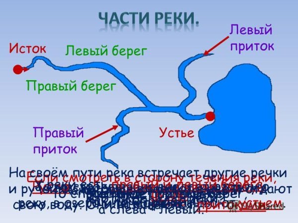 Что такое Устье реки и Исток и русло и приток