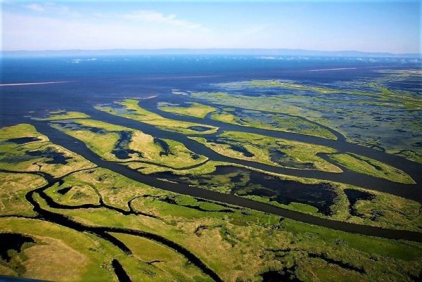 Дельта реки Селенга