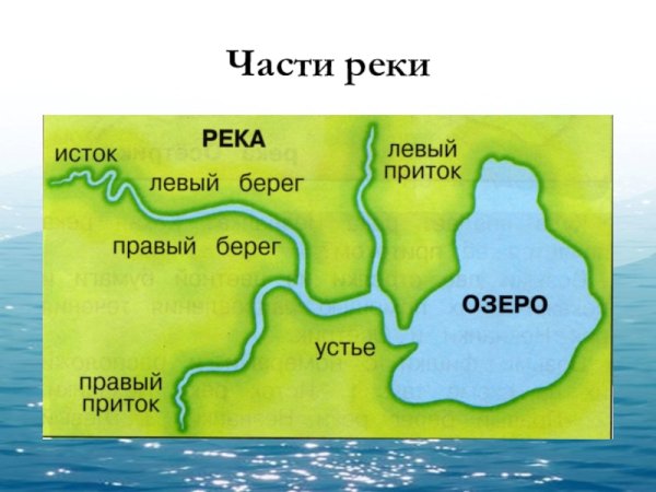Река Исток русло схема