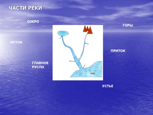 Устье Исток русло части реки