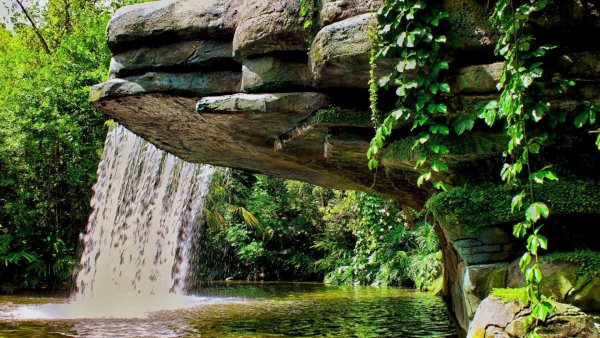 Природа деревья водопады