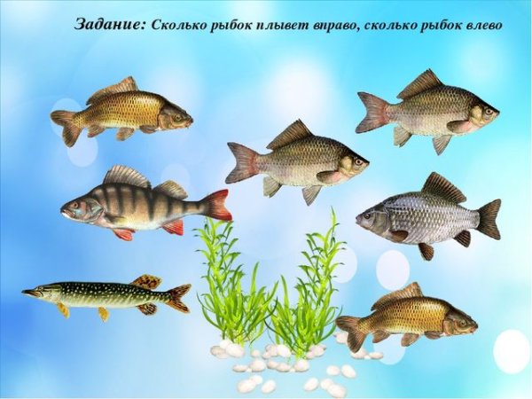 Рыбы для дошкольников