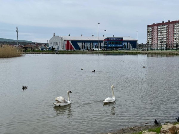 Озеро Бублик Невинномысск